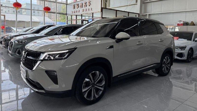 Китайская экспансия: редкие автомобили на DRIVE2 Китайская экспансия: редкие автомобили на DRIVE2