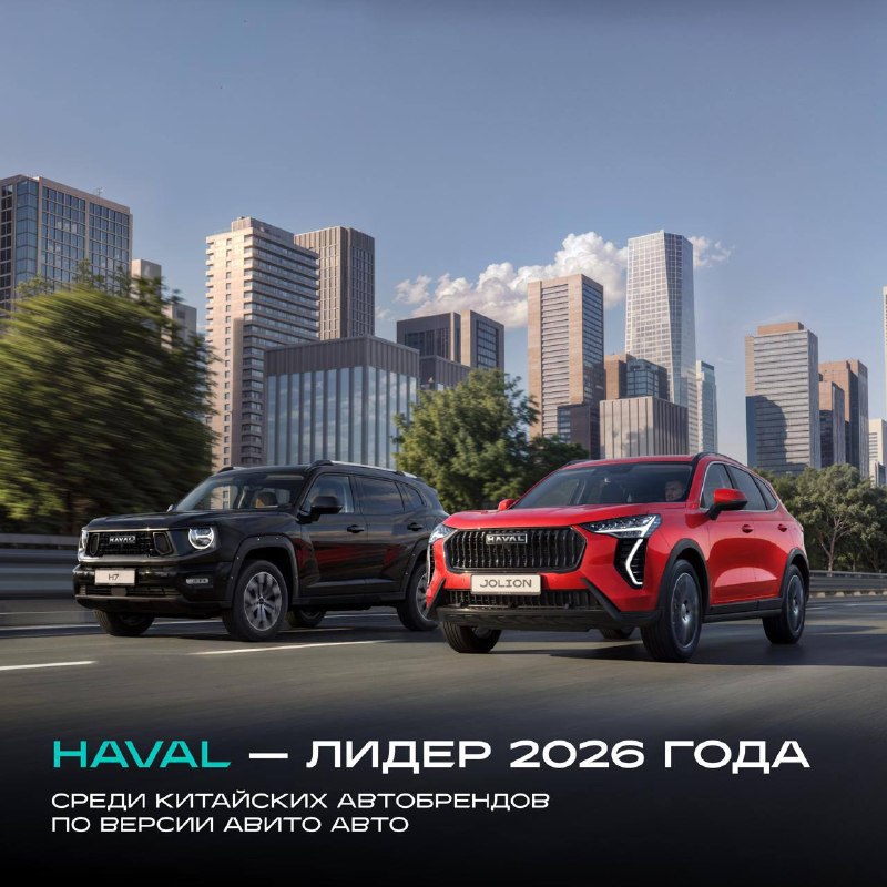 HAVAL — лидер среди китайских автобрендов: результаты исследования Авито