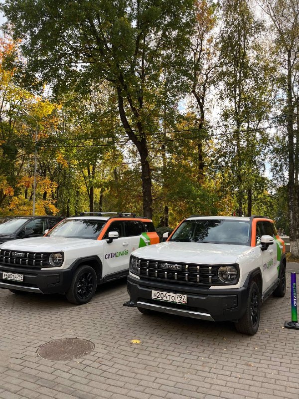 Ситидрайв устроил первый роуд-трип из Москвы в Боровичи Ситидрайв устроил первый роуд-трип из Москвы в Боровичи
