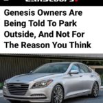 Hyundai отзывает почти 95 тыс. Genesis из-за риска возгорания сиденья