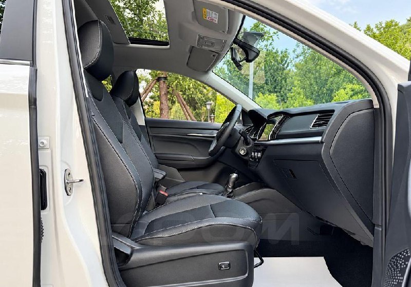 Skoda Kamiq: плюсы и минусы по отзыву владельца Skoda Kamiq: плюсы и минусы по отзыву владельца