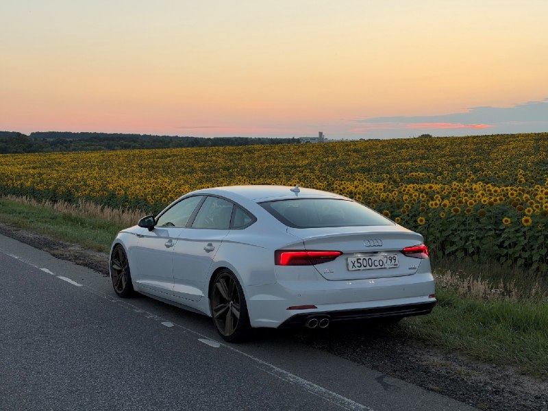 От 400-сильной Octavia до Audi A5 TDI: как владелец нашёл здравый смысл От 400-сильной Octavia до Audi A5 TDI: как владелец нашёл здравый смысл