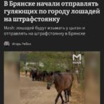 В Брянске создадут штрафстоянки для гуляющих без хозяев лошадей