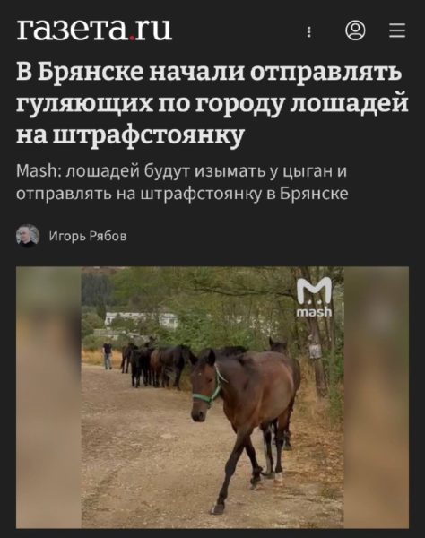 В Брянске создадут штрафстоянки для гуляющих без хозяев лошадей
