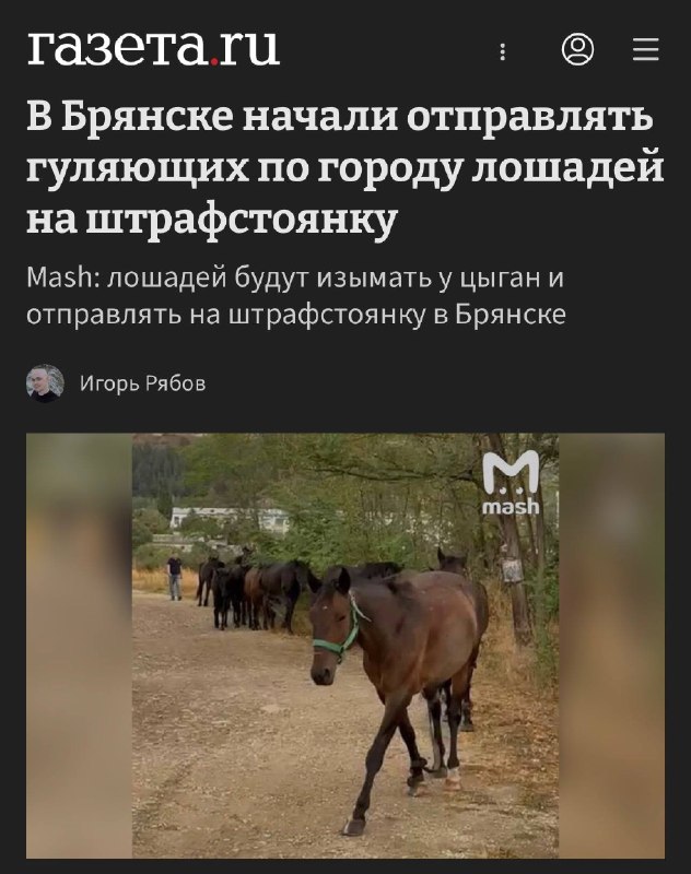 В Брянске создадут штрафстоянки для гуляющих без хозяев лошадей